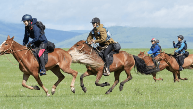 endurance riding race