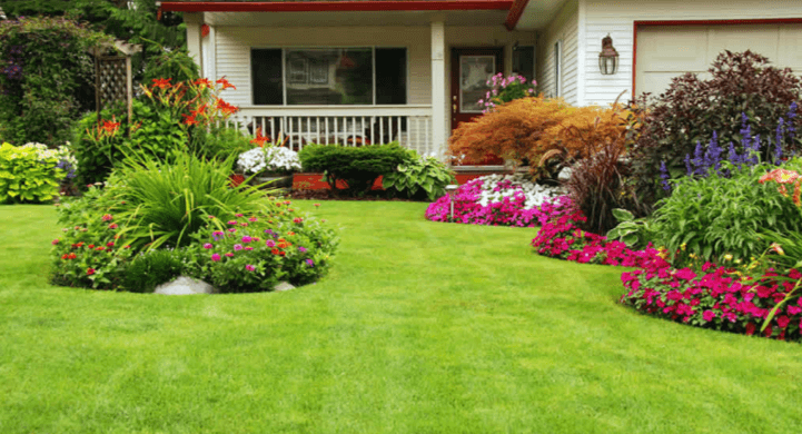 Lawn Care Services for a Green and Healthy Lawn