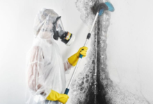 When To Call A Professional For Home Water Repairs