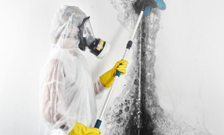When To Call A Professional For Home Water Repairs