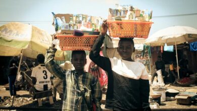 business development metrics overview