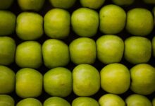 data roadmap market strategy