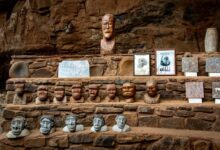 industry evolution analysis insights