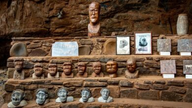 industry evolution analysis insights