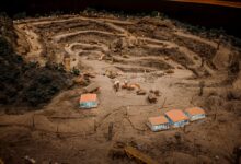 industry growth strategy model