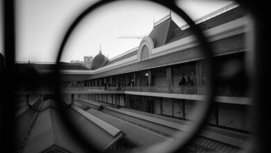 next horizon market growth