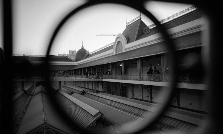 next horizon market growth