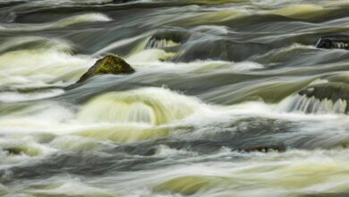 strategic momentum flow analysis