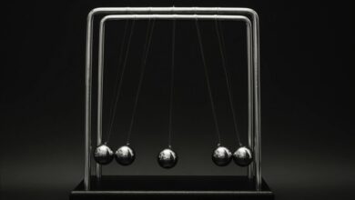 zenith momentum authority growth